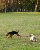 a0035678_0125957.jpg