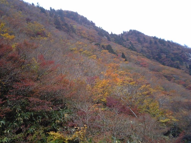 d0054692_14325577.jpg