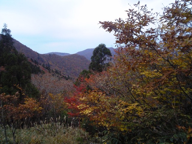 d0054692_14371551.jpg