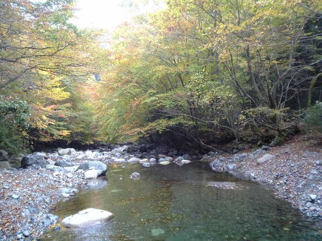 d0054692_14573116.jpg