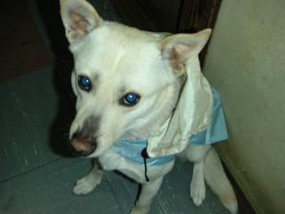 a0018200_940630.jpg