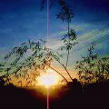 c0017505_2245992.jpg