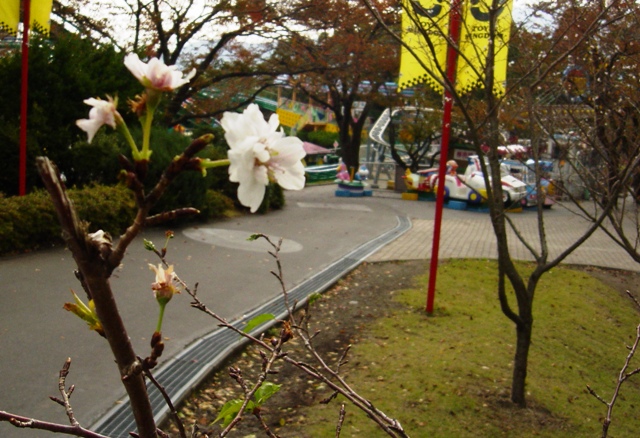 a0060806_3141094.jpg