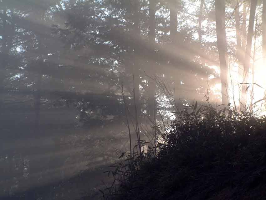 e0001110_2111378.jpg