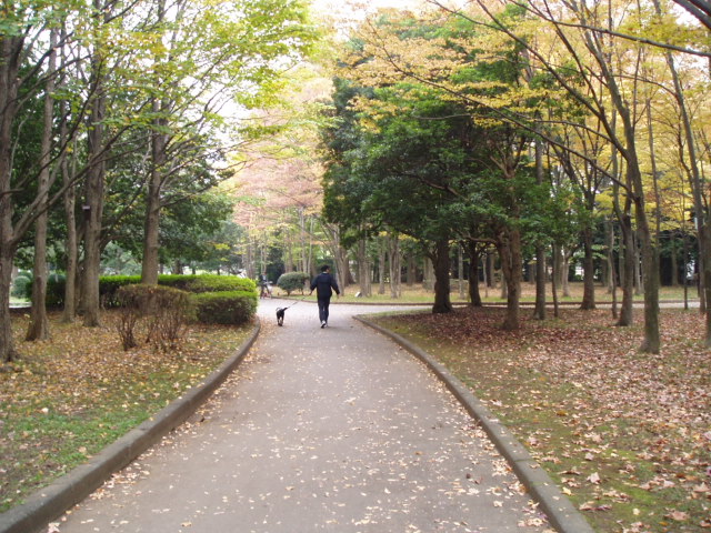 e0013419_13264677.jpg