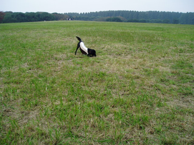 e0013419_1346168.jpg