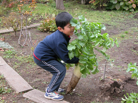 e0001123_171467.jpg