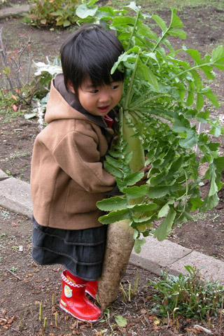 e0001123_1794239.jpg
