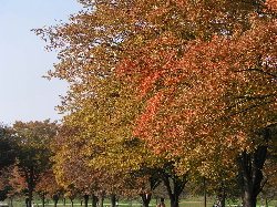 e0071225_0592276.jpg