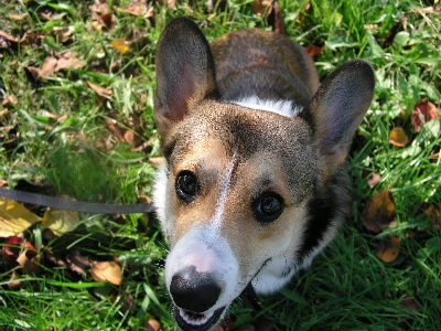 e0071225_1301338.jpg