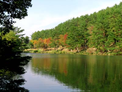 d0029829_1385017.jpg