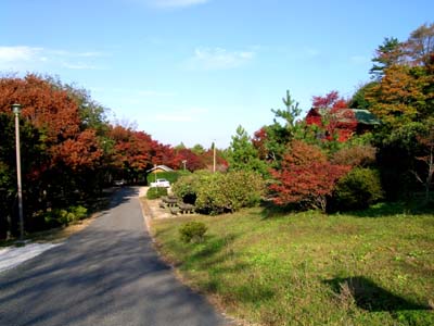 d0029829_15145583.jpg