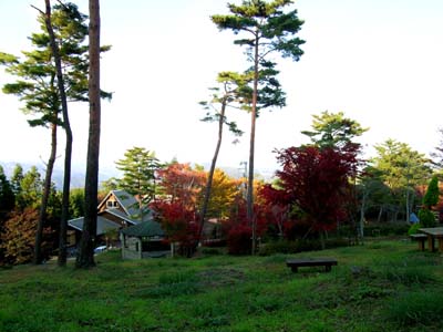 d0029829_1515267.jpg