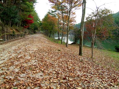 d0029829_2321649.jpg