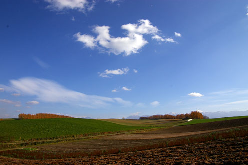e0025030_14425918.jpg