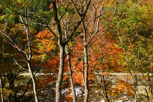 e0025930_20221177.jpg