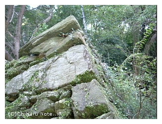 c0046340_17353816.jpg