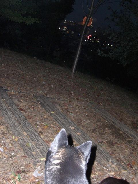 e0025240_2130650.jpg