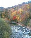 c0042941_226141.jpg