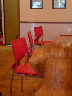 c0065643_17491136.jpg