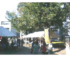 b0017546_021670.jpg