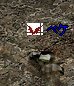 e0058448_11152479.jpg