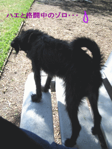 b0035453_14544936.gif