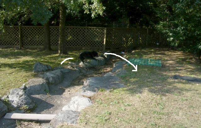 e0002466_15355941.jpg