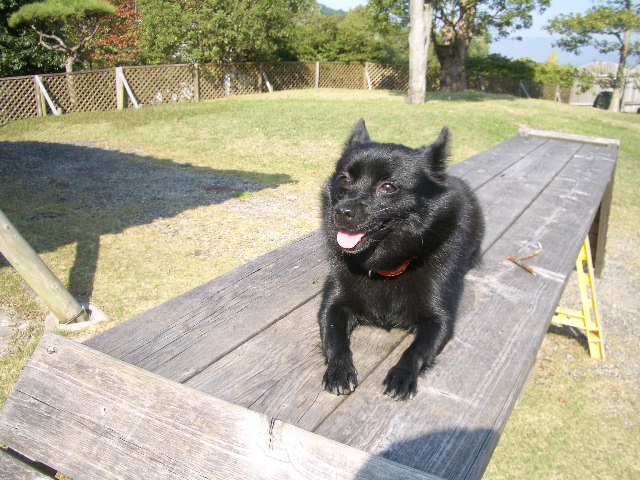e0002466_1542819.jpg