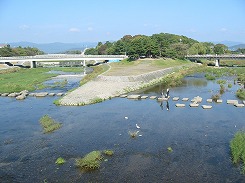 e0041168_9455821.jpg
