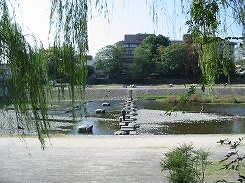 e0041168_9484294.jpg