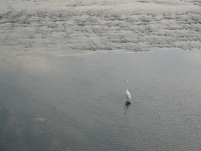 e0041168_9553810.jpg
