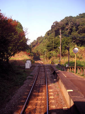 e0052268_1930178.jpg