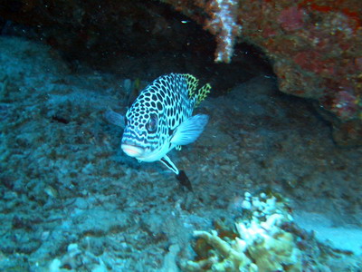 a0002177_2252329.jpg