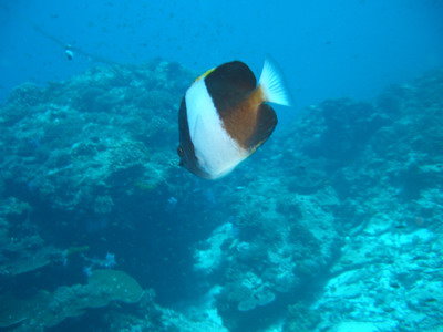 a0002177_22525292.jpg