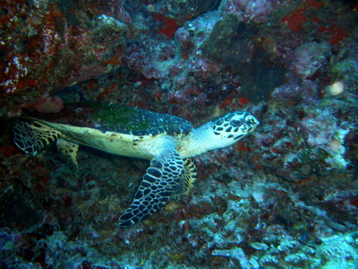 a0002177_2254588.jpg