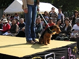 a0035678_2314276.jpg