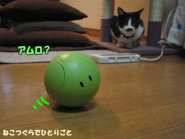 b0041182_10383868.jpg
