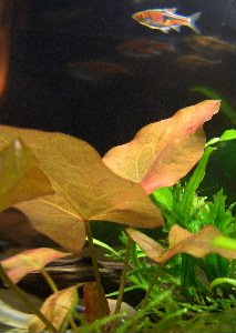 c0074591_21281363.jpg