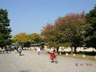 c0072993_22265450.jpg