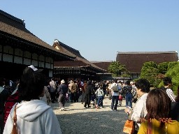 c0072993_231299.jpg