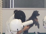 e0087693_19533956.jpg