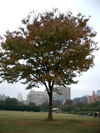 d0003996_22363083.jpg