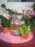 b0048998_23552865.jpg