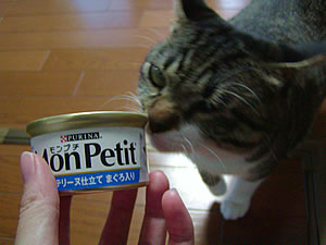 c0035001_21391331.jpg
