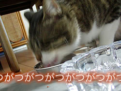 c0035001_2142233.jpg