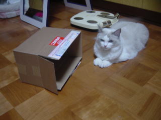 c0024410_2010888.jpg