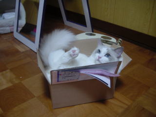 c0024410_20124097.jpg