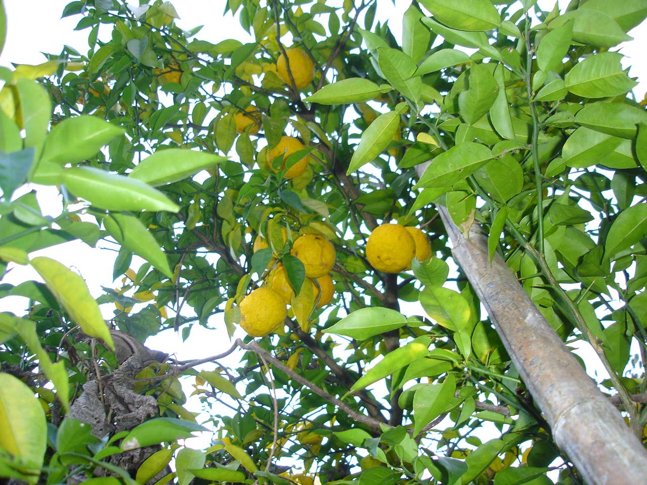 e0094815_2254930.jpg