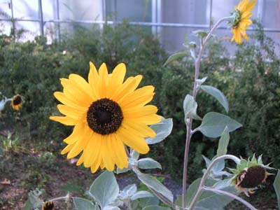 c0059521_17254316.jpg